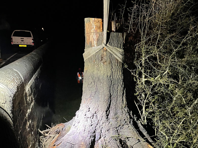 large fallen tree being removed from river bank by crane